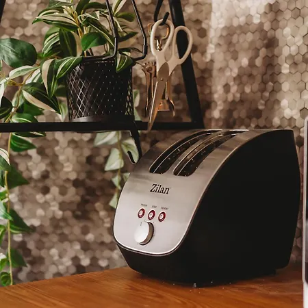 Old Town - Private & Ensuite - B 公寓